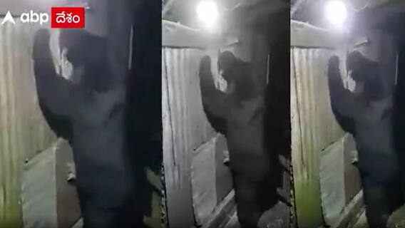 Srikakulam Bear: శ్రీకాకుళం జిల్లాలో ఎలుగుబంటి హల్ చల్