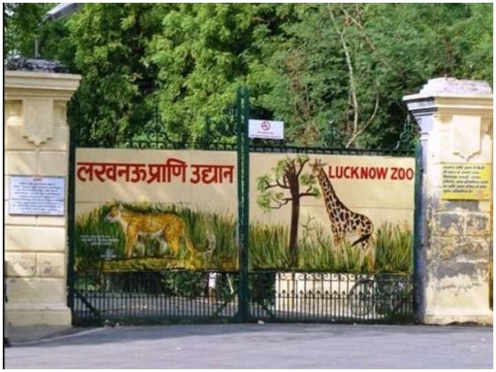 Lucknow zoo100th foundation day three zebras from Israel reached Lucknows zoo Lucknow News: चिड़ियाघर का 100वां स्थापना दिवस आज, इजराइल से तीन जेब्रा पहुंचे लखनऊ के चिड़ियाघर