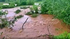 Nellore Floods: నెల్లూరు జిల్లా పులిగుంట చెరువుకు గండి