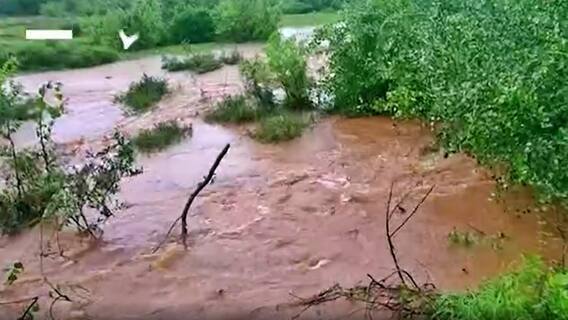 Nellore Floods: నెల్లూరు జిల్లా పులిగుంట చెరువుకు గండి
