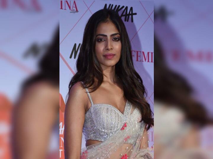 Malavika Mohanan injured in Yudhra movie shooting,  Bruises start feeling like scratches Malavika Mohanan Injured: ஆக்‌ஷன் காட்சி.. படப்பிடிப்பில் மாளவிகா மோகனனுக்கு கையில் காயம்!