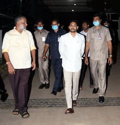 YS Jagan: తాడేపల్లిలో గోశాలను సందర్శించిన ఏపీ సీఎం వైఎస్‌ జగన్‌