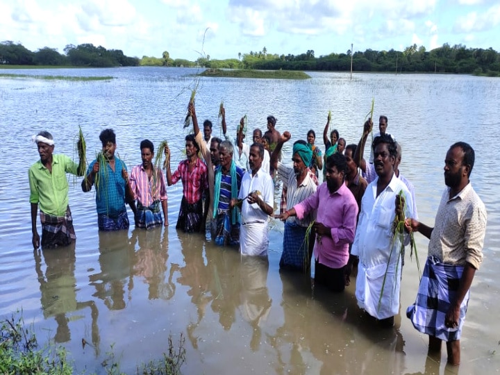 மயிலாடுதுறை: தண்ணீர் தேங்கியுள்ள வயலில் இறங்கி ஆர்ப்பாட்டத்தில் ஈடுபட்ட விவசாயிகள்!