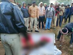 Chhattisgarh News: हाथियों ने पटक-पटक कर ली महिला की जान, तीन टुकड़ों में बरामद हुआ शव