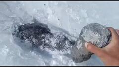 ਹਿਮਾਚਲ ਦੇ ਉਪਰਲੇ ਇਲਾਕਿਆਂ 'ਚ ਤਾਪਮਾਨ 'ਚ ਗਿਰਾਵਟ, ਜੰਮਣ ਲੱਗੇ ਨਦੀ ਨਾਲੇ