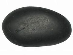 Shaligram Worship: 'शालिग्राम' को घर में रखने के नियमों पर डाल लें एक नजर, वरना  रुष्ठ हो सकते हैं भगवान विष्णु