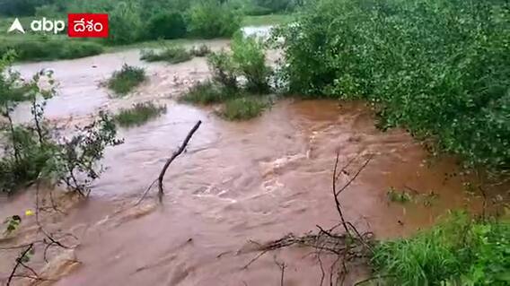 Nellore Floods: నెల్లూరు జిల్లా అనంతసాగరం మండలం పులిగుంట చెరువుకు గండి