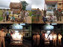 Bastar News: नशे के सौदागरों पर नकेल कसने की मुहिम जारी, एक साल के दौरान बस्तर में 3 हजार किलो गांजा जब्त