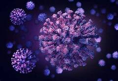 India Covid Update: ওমিক্রন আতঙ্কের মধ্যেই দেশে কমল করোনায় দৈনিক মৃত্যু, সংক্রমণ| Bangla News