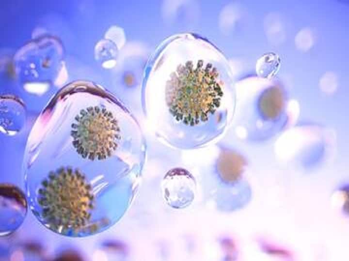 Ajmer- Corona cases increase, 2 areas declared 'Micro Containment' in Ajmer Corona Cases Increase in Ajmer: अजमेर में बढ़ रहे हैं कोरोना के मामले, दो क्षेत्र माइक्रो कंटेनमेंट घोषित