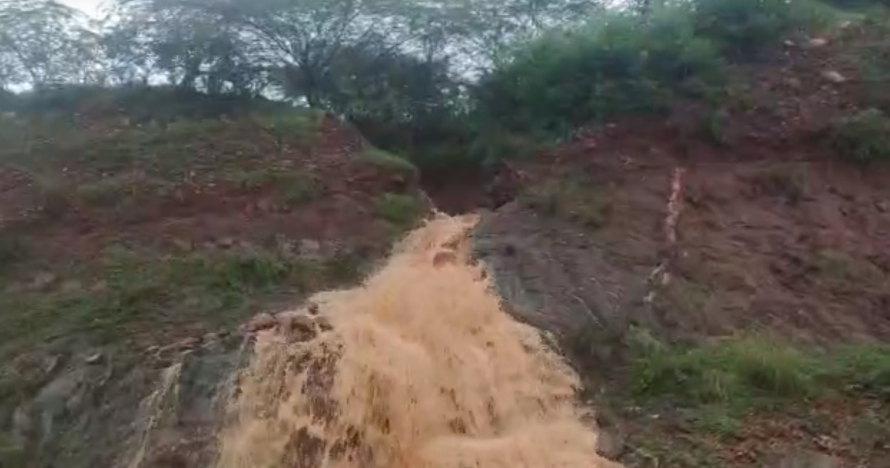 Nellore Floods: నెల్లూరు జిల్లాలో  వాన విచిత్రాలు...  పాతాళ గంగ పైపైకి