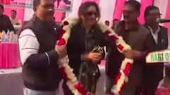 UP Elections 2022 : प्रतापगढ़ के लोगों की दिल की बात...क्या हैं मुद्दे ? कितना हुआ विकास ? | चुनाव यात्रा