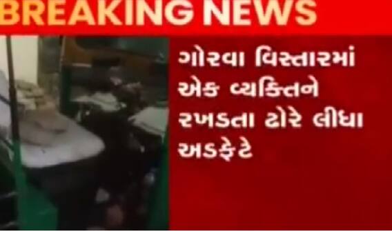 વડોદરાઃ રસ્તે રખડતા ઢોરનો ત્રાસ યથાવત, રસ્તે ચાલતા વ્યક્તિને પહોંચાડી ગંભીર ઈજા