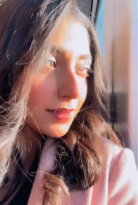 যদিও কাজের সূত্রেই লন্ডনে গিয়েছিলেন গৌরব। অরিত্র সেনের ‘গানের ভিতর দিয়ে’ ছবির শ্যুট করতে গেলেও ছিলেন দেবলীনা।