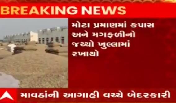 રાજકોટઃ માવઠાની આગાહી વચ્ચે માર્કેટયાર્ડના સત્તાધીશોની બેદરકારી, જણસ ખુલ્લામાં રખાઈ