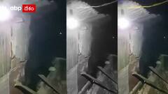 Srikakulam Bear: శ్రీకాకుళం జిల్లాలో హల్ చల్ చేస్తున్న ఎలుగుబంటి- స్థానికుల్లో భయం