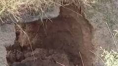 બનાસકાંઠાઃ તંત્રના પાપે કેનાલમાં ગાબડા પડવાનો સિલસિલો યથાવત,જુઓ ગુજરાતી ન્યૂઝ