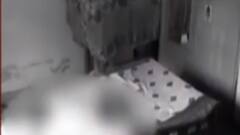 સમાચાર શતક: દાદી અને પૌત્રની હત્યા મામલે શહીરો સજ્જડ બંધ જુઓ ગુજરાતી ન્યુઝ