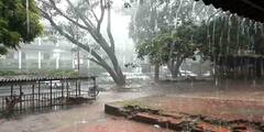 Weather Update: শনি-রবিতে দক্ষিণবঙ্গে বজ্রবিদ্যুৎ সহ বৃষ্টির পূর্বাভাস, সতর্কতা কৃষকদের। Bangla News