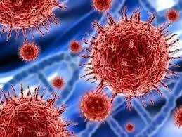 அமெரிக்காவில் இதுவரை ஒமிக்ரான் தொற்று கண்டறியப்படவில்லை. கடந்த 24 மணி நேரத்தில் 108,737 பேர்  கொரோனா தொற்றால் பாதிக்கப்பட்டுள்ளனர். மருத்துவமனையில் அனுமதிக்கப்படும் விகிதம் கடந்தாண்டு அக்டோபர் மாதத்திற்குப் பிறகு தற்போது அதிகரித்துள்ளது