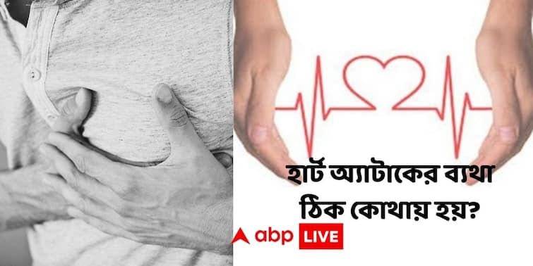 Heart Attack What Kind Of Chest Pain To Face, Other Symptoms Of Heart Attack You Need To Know Heart Attack : বুকের ঠিক কোনখানে ব্যথা হলে বুঝবেন হার্ট অ্যাটাকের সিগন্যাল? আর কোথায় যন্ত্রণা আশঙ্কাজনক?