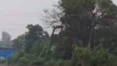 સુરતના કામરેજમાં વરસાદી ઝાપટું, ખેડૂતો મુકાયા ચિંતામાં, જુઓ ગુજરાતી ન્યુઝ