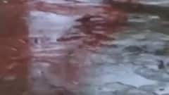 ગીરસોમનાથમાં કમૌસમી વરસાદ પડ્યો. વાતાવરણમાં પ્રસરી ઠંડક, જુઓ ગુજરાતી ન્યુઝ