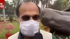 Adhir Chowdhury: ১২ বিরোধী সাংসদকে শীত-অধিবেশনে সাসপেন্ডের বিষয় ক্ষোভ প্রকাশ অধীরের । Bangla News