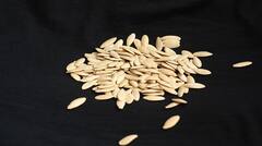 Pumpkin Seeds Benefits : হজমে সাহায্য থেকে রক্তচাপ নিয়ন্ত্রণ, কুমড়োর বীজের উপকারিতা জানলে অবাক হবেন