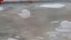 દાહોદમાં વરસ્યો વરસાદ. વાતાવરણમાં ઠંડક પ્રસરી, જુઓ ગુજરાતી ન્યુઝ