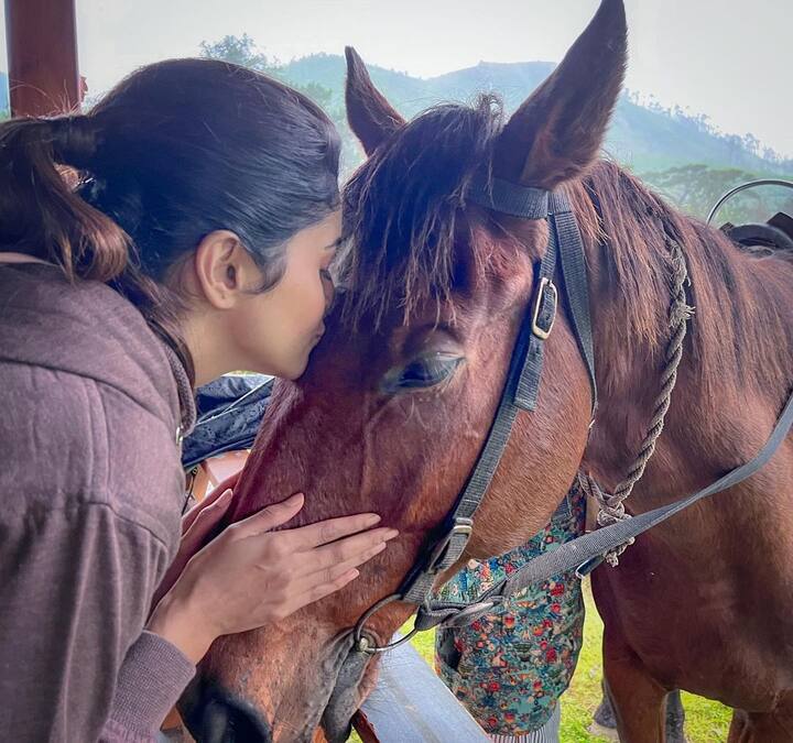 அடி மரமும் அசைஞ்சுடுதே அத பாத்து