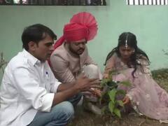 Ujjain News: उज्जैन में शादी से पहले दूल्हा-दुल्हन ने किया पौधारोपण, पर्यावरण बचाने का दिया संदेश