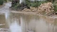 ગીરસોમનાથઃ ઉના પંથકમાં ધોધમાર એક ઈંચ ખાબક્યો વરસાદ, પશુઓના ઘાસચારાને નુકસાન