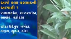 રાજ્યમાં કમોસમી વરસાદનું સંકટ યથાવત, આજે કયા વિસ્તારોમાં છે વરસાદની આગાહી?