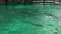 Nashik : अखिल भारतीय मराठी साहित्य संमेलनावर कोरोनानंतर आता पावसाचं संकट