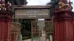 જૂનાગઢ: સક્કરબાગમાં ખાનગી કારના વાયરલ વિડિઓ મામલે ખુલાસો, જુઓ ગુજરાતી ન્યુઝ