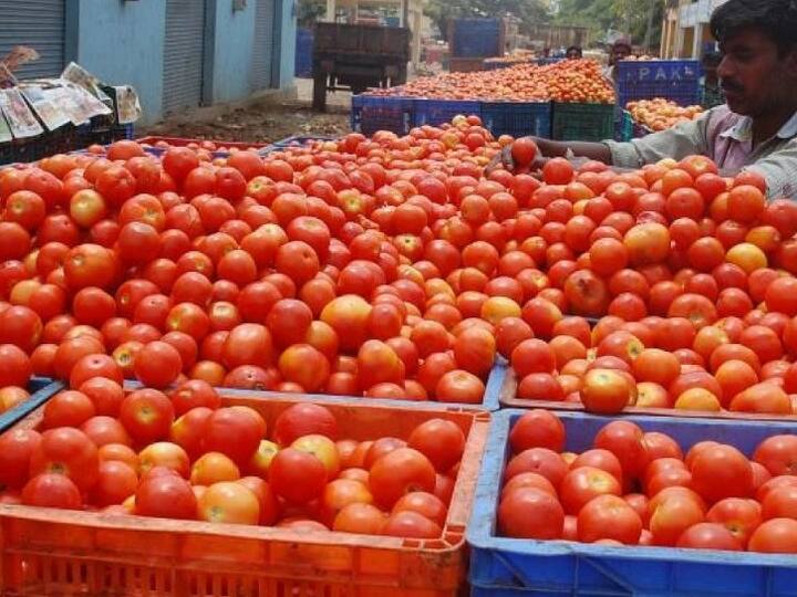 Tomato price hike and reach 140 rupees per kg tomato price hike india check here latest rates Tomato Price: महंगाई की मार! कई शहरों में 140 रुपये पहुंचा टमाटर का भाव, दिल्ली-मुंबई समेत चेक करें अपने शहर का लेटेस्ट रेट्स