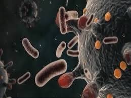 உருமாறிய ஓமைக்ரான் தொற்று, ஆர்டிபிசிஆர் மற்றும் ராபிட் ஆண்டிஜென் பரிசோதனைகளிலிருந்து தப்பிவிடாது என்பதால், பரிசோதனைகளை அதிகரிப்பது முக்கிய தேவையாக உள்ளது