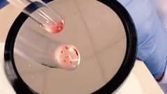 Review of preparations to fight third COVID wave in LNJP hospital Delhi | Ground Report