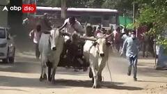 సిరిసిల్ల లో భాజాపా చేపట్టిన ధర్నాలో అపశృతి