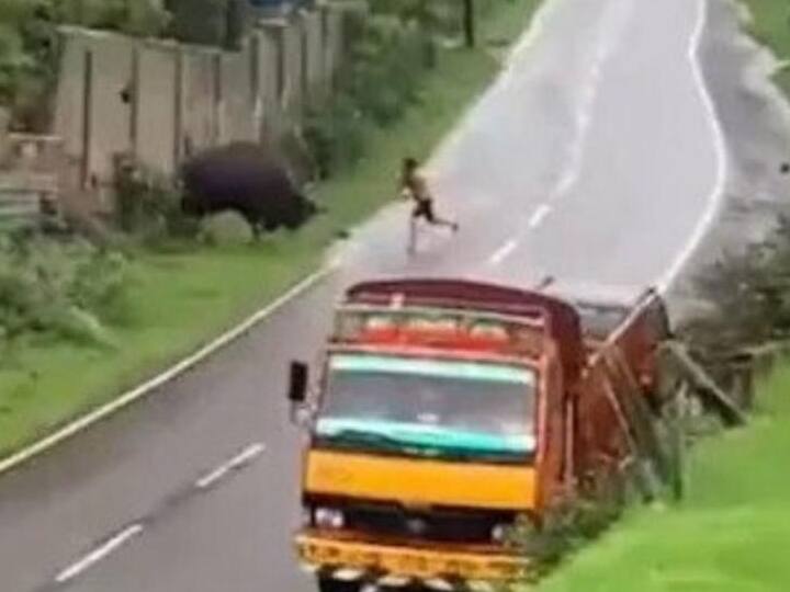 Man Brutally Assaulting An Injured Indian Gaur With Stick Goes Viral- Watch Video Watch Video: அதுவே ஒரு மிருகம்.... அதை விட மோசமான மிருகமா இருக்காரே...!