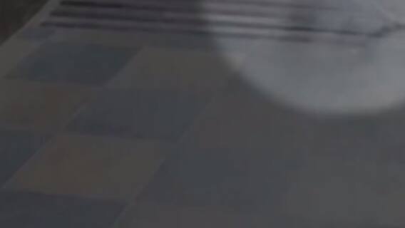 રાજકોટ: હોટેલના ચોથા માળેથી નીચે પટકાતા બાળકીનું મોત, જુઓ ગુજરાતી ન્યુઝ