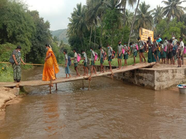Vellore: Kaanaru River floods - Students building a temporary bridge to go to school வேலூர்: கானாற்றில் வடியாத வெள்ளம் - தற்காலிக பாலம் அமைத்து பள்ளிக்கு செல்லும் மாணவர்கள்