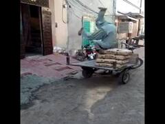 Viral Video: गुलाटी मार बोरी उठाते दिखा शख्स, IPS ने वीडियो शेयर कर कहा- काम के साथ मजा भी