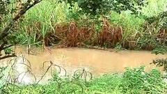 Kolhapur Rains : उसाच्या फडात पाणीच पाणी; तोडणी खोळंबल्यानं चिंता ABP Majha