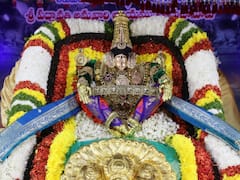 In Pics: సింహ వాహనంపై యోగనరసింహస్వామి అలంకారంలో పద్మావతి అమ్మవారు