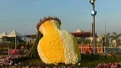 અમદાવાદઃ ફ્લાવર શો અંગે AMCની રિક્રીએશન કમિટિએ શું કર્યો નિર્ણય?,જુઓ ગુજરાતી ન્યૂઝ