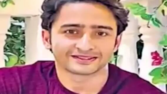 Shaheer Sheikh to play lead in Ekta Kapoor's 'Naagin 6'? | Hot News