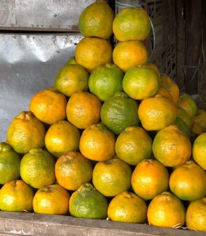 Climate Based Fruit Crop Insurance Scheme for Nagpur District Nagpur District : मोसंबी-संत्र्यांसाठी फळपिक विमा योजना, जिल्ह्यातील 'हे' तालुके पात्र