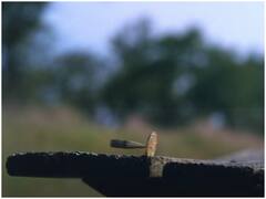 Viral Video: क्या हुआ जब लाखों रुपये के Bitcoin पर इस शख्स ने चलाईं कई गोलियां, देखें वीडियो